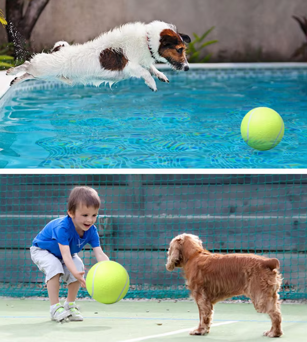 Pet Oversized Ball Toy