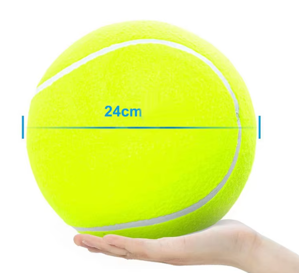 Pet Oversized Ball Toy