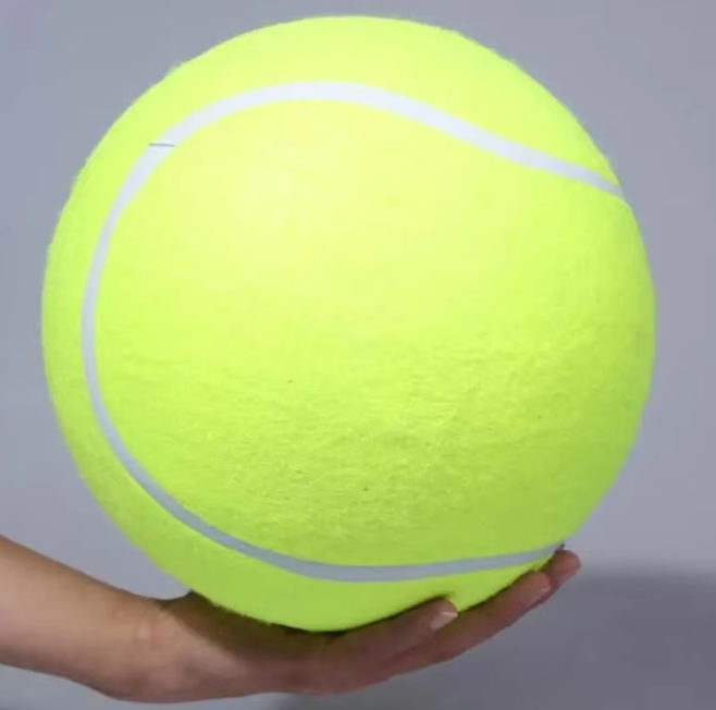 Pet Oversized Ball Toy