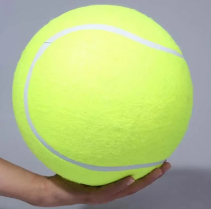 Pet Oversized Ball Toy