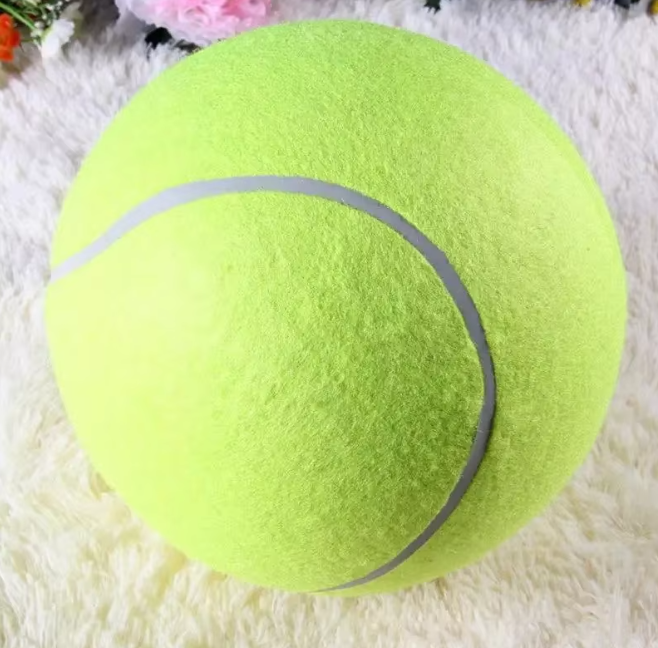 Pet Oversized Ball Toy