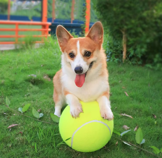 Pet Oversized Ball Toy