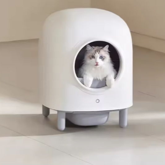 White smart cat litter box with a cat peeking out on a light wooden floor